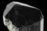 Terminated Black Tourmaline (Schorl) Crystal - Madagascar #174148-1